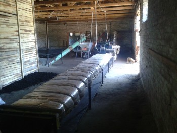 Сушильні камери